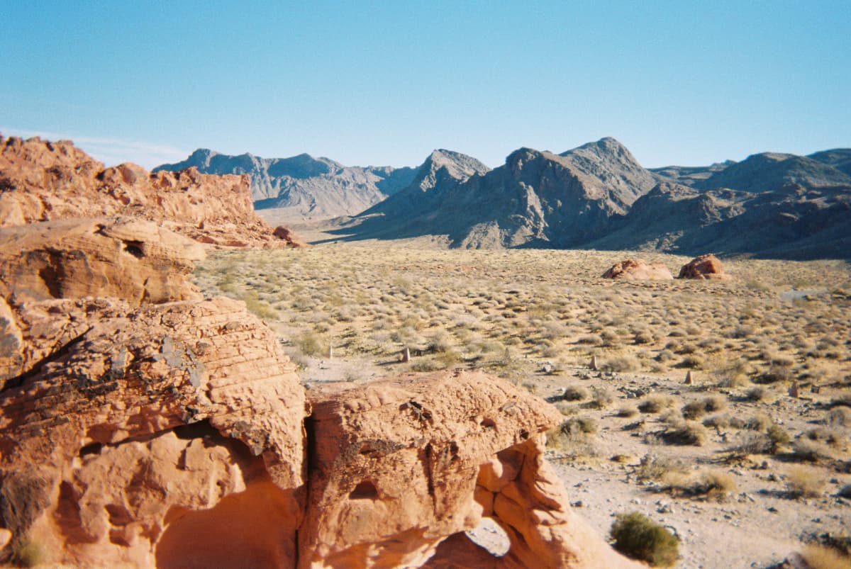 A Trip with a Disposable Camera