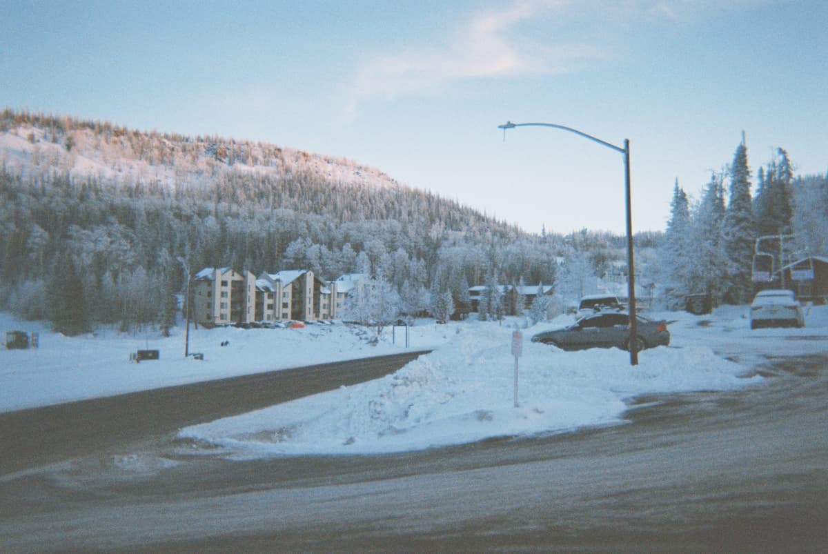 A Trip with a Disposable Camera