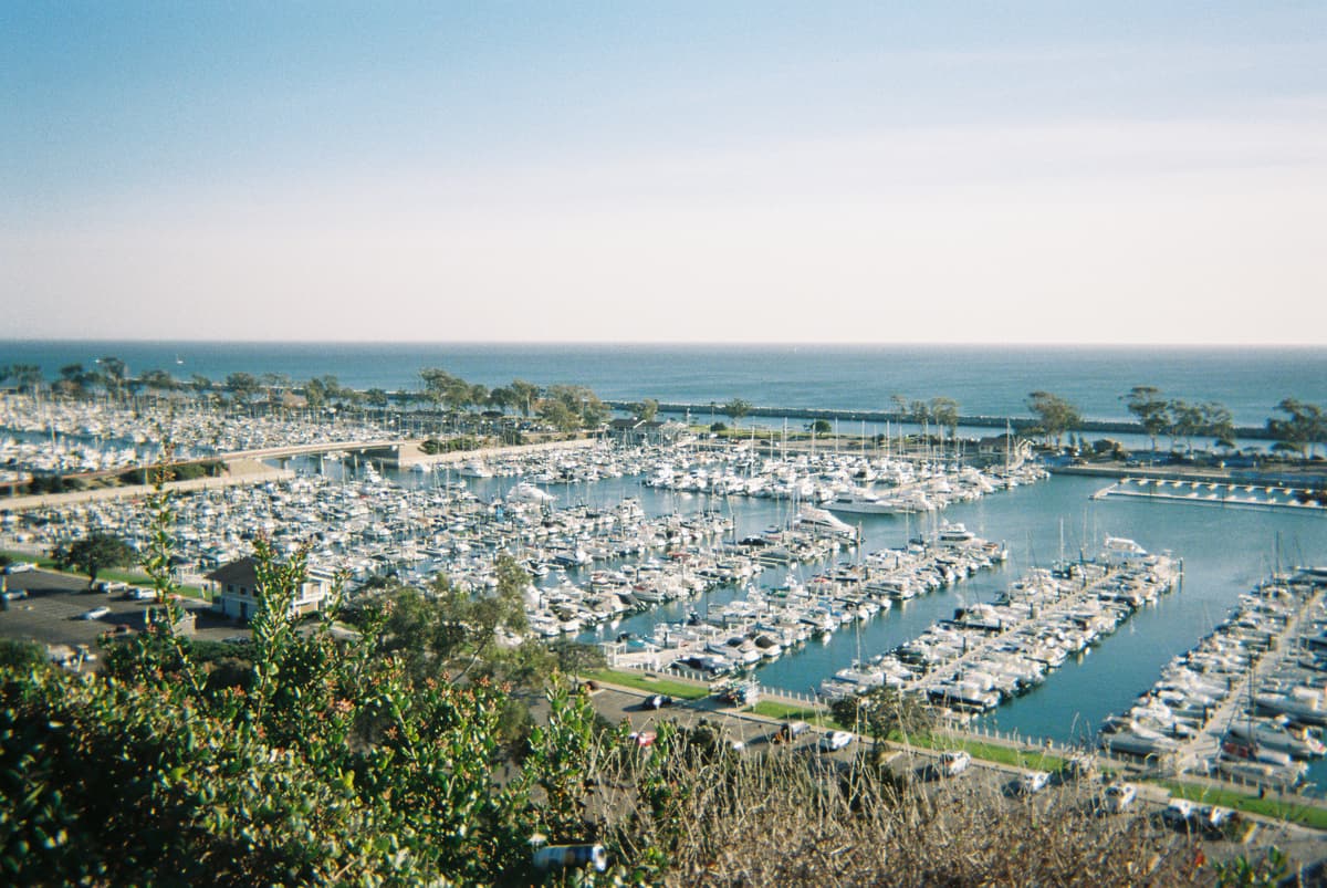 A Trip with a Disposable Camera