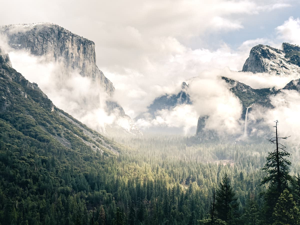 Yosemite & Sequoia