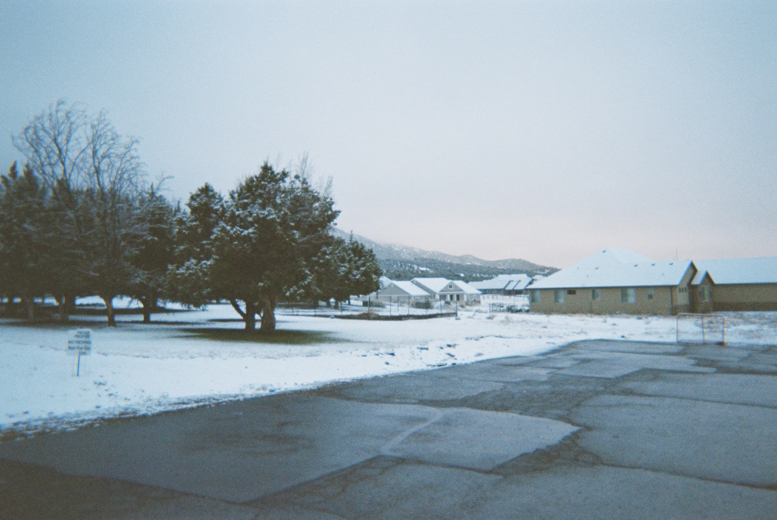 A Trip with a Disposable Camera