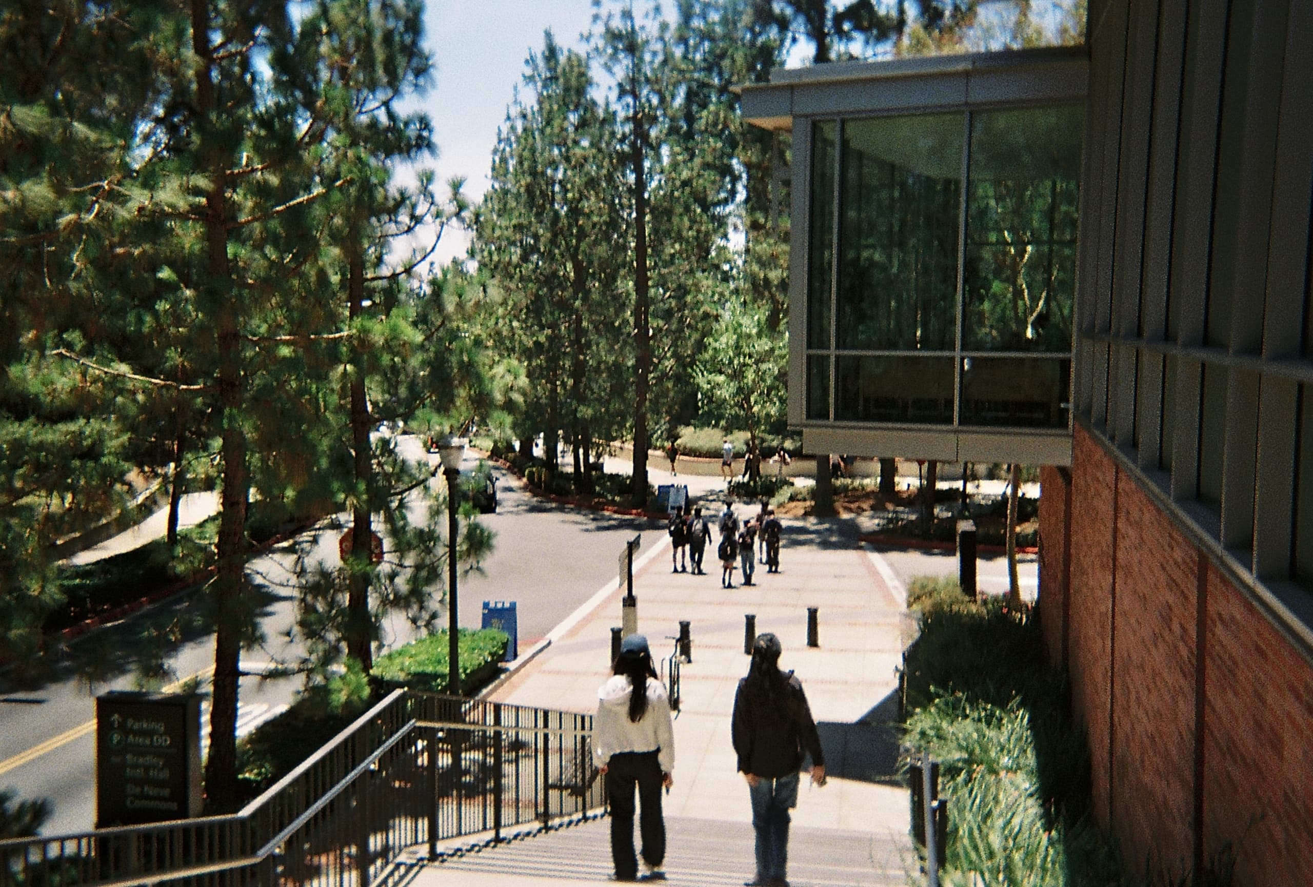 '25 Summer On Film