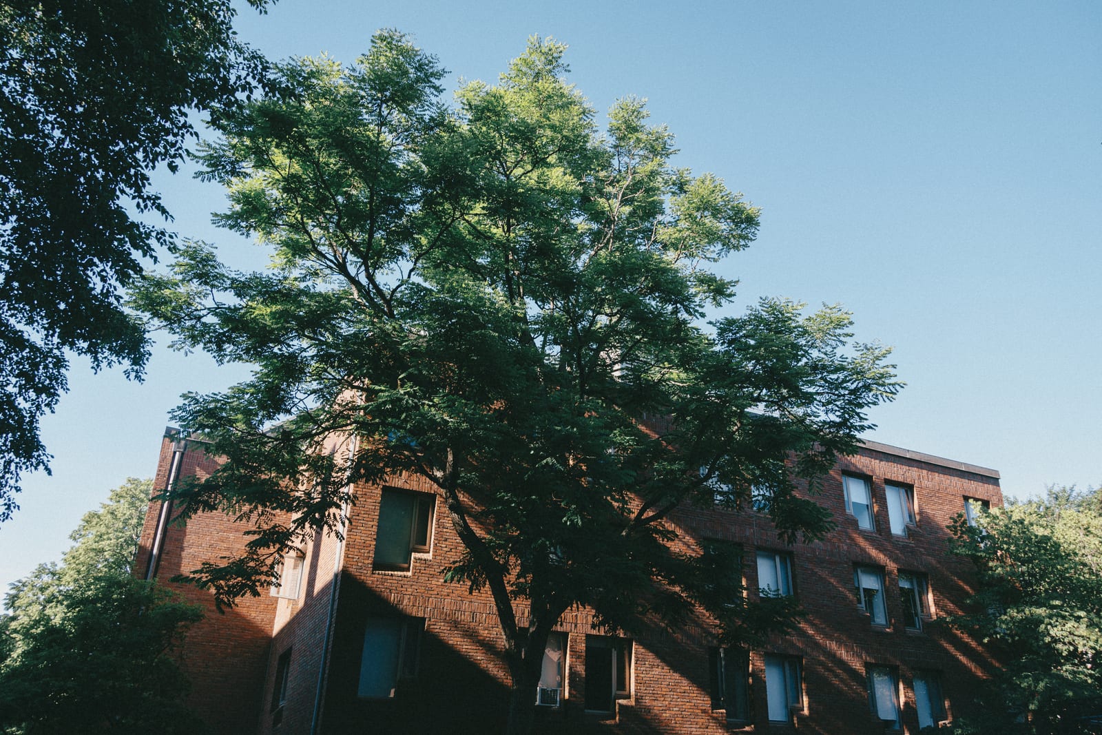 A Boston street viewed from a walk